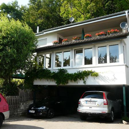 Regio Basiliensis Apartment Grenzach-Wyhlen Exterior foto