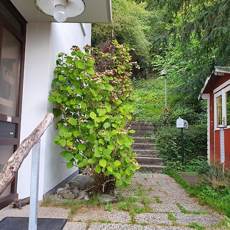 Regio Basiliensis Apartment Grenzach-Wyhlen Exterior foto