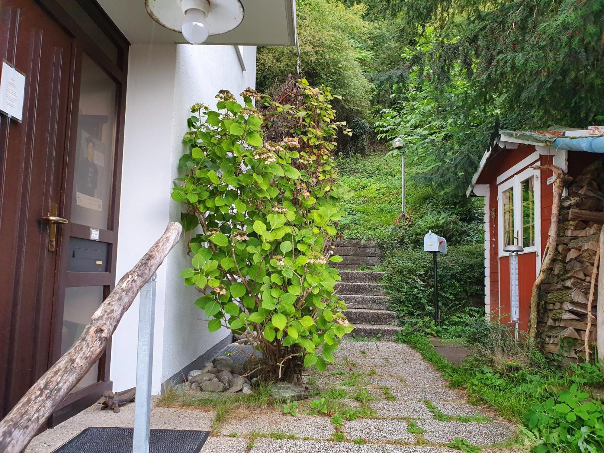 Regio Basiliensis Apartment Grenzach-Wyhlen Exterior foto