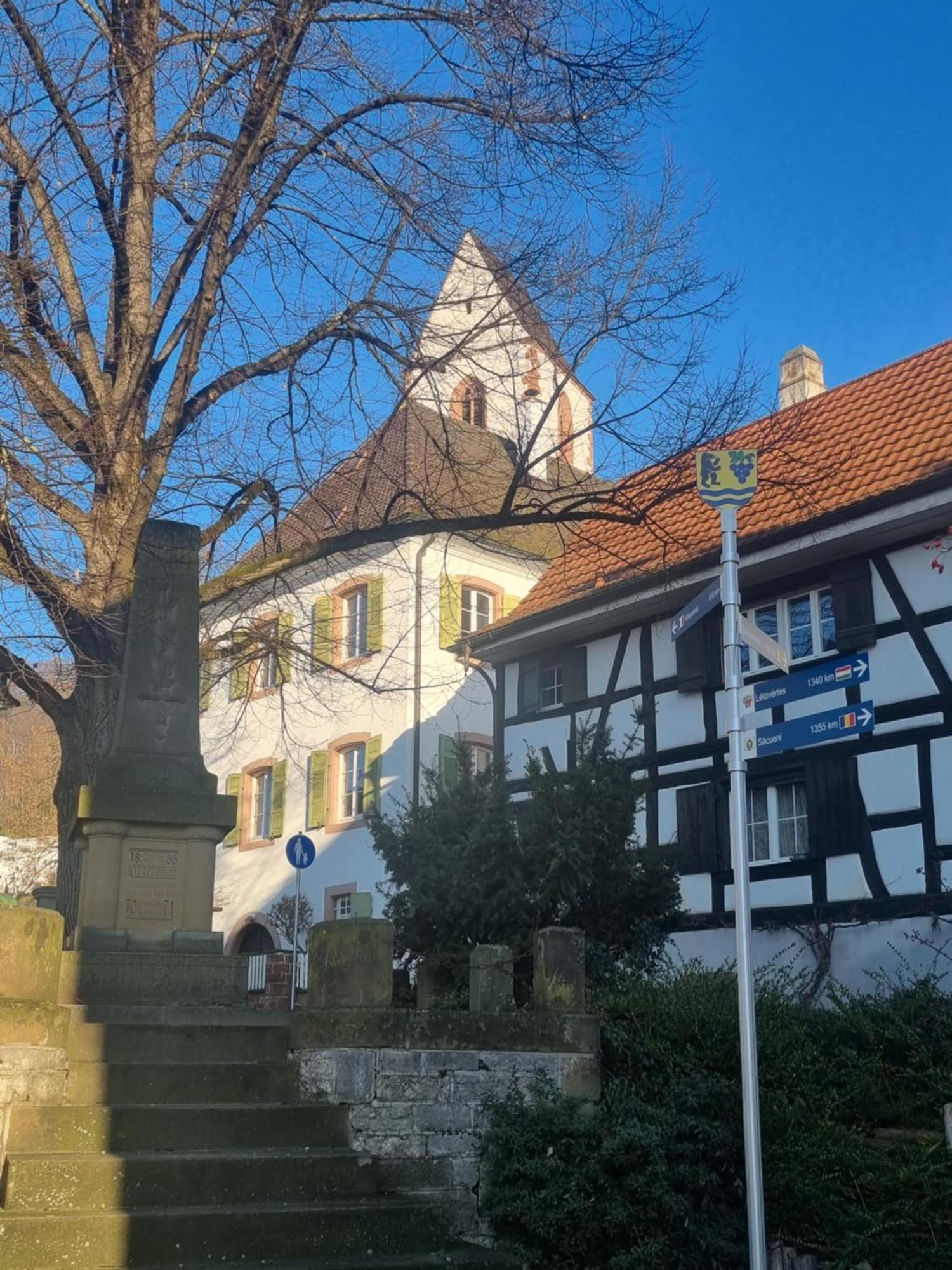 Regio Basiliensis Apartment Grenzach-Wyhlen Exterior foto
